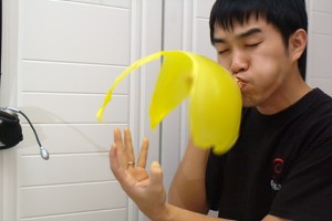 사용자 삽입 이미지