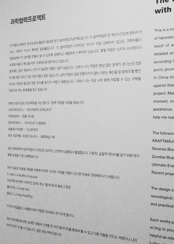  	 INDAF, Starsucks, zee, 과학협력프로젝트, 네츄럴퓨즈, 디지털아트, 로이애스콧, 모바일아트, 미디어아트, 빛접촉, 세컨드라이프, 센스센시스, 아두이노, 열린기둥, 열린항해, 인사이트, 인천 국제 디지털 아트 페스티벌 2010, 인천송도, 인터랙티브, 프로이테